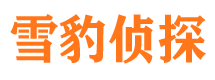 安庆市婚外情调查